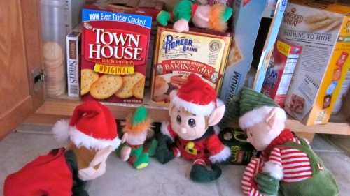 The elves scrambled to the cupboard to witness the tragedy.